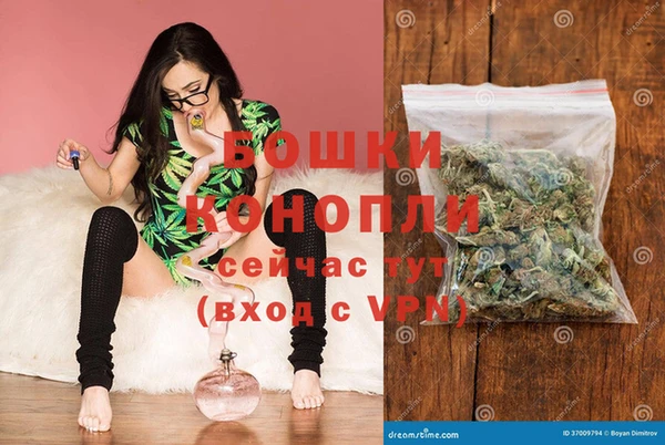 прущие грибы Богородицк