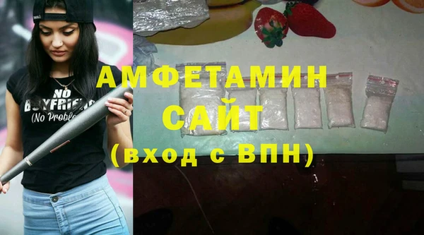 прущие грибы Богородицк