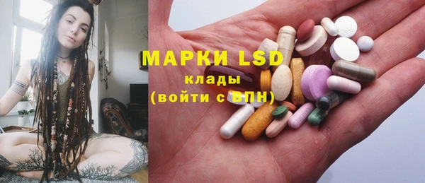 прущие грибы Богородицк