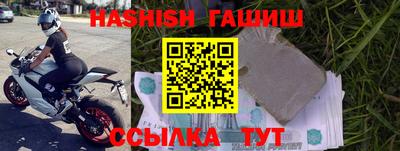 стаф Лесосибирск