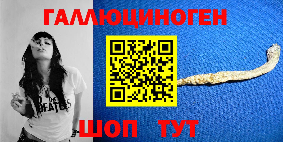 Псилоцибиновые грибы GOLDEN TEACHER  где найти   Буйнакск  Вход с VPN 