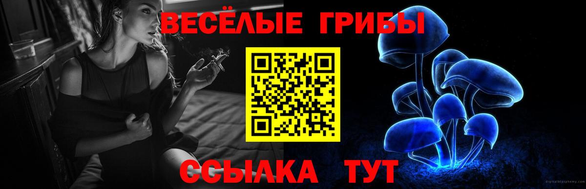 Галлюциногенные грибы прущие грибы Буйнакск